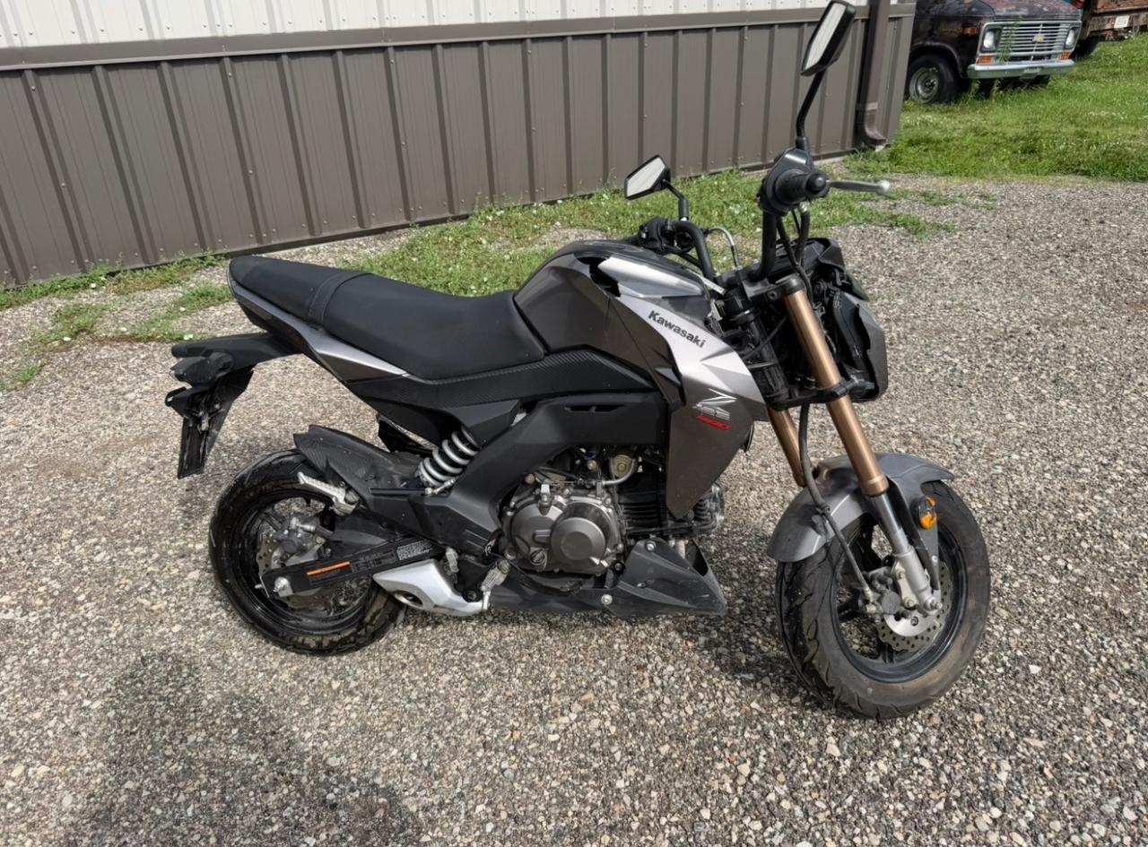 Kawasaki Z125 PRO  2017