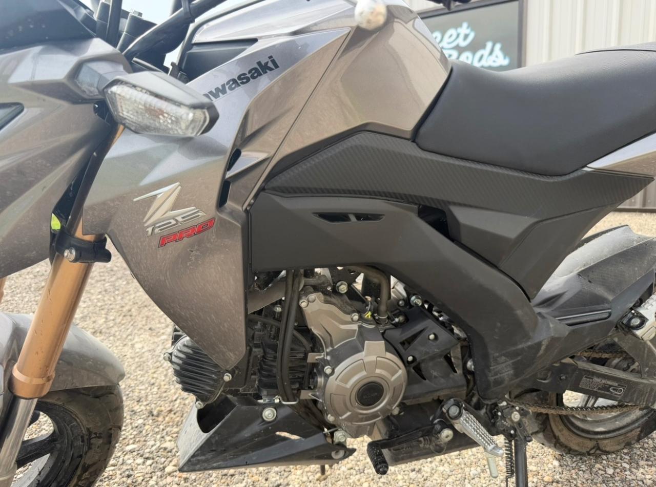 Kawasaki Z125 PRO  2017