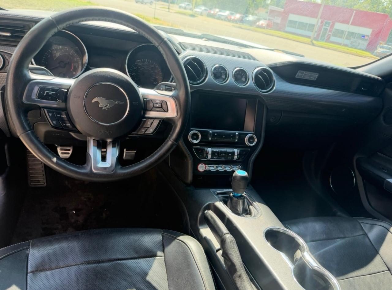 2015 Ford Mustang GT Premium - Photo 9