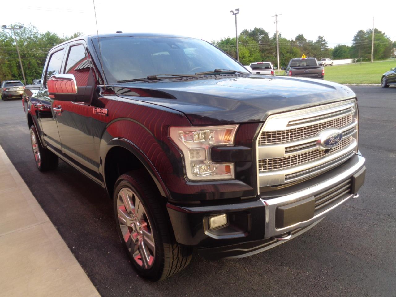 Ford F-150 Platinum SuperCrew 5.5-ft. Bed 4WD 2015