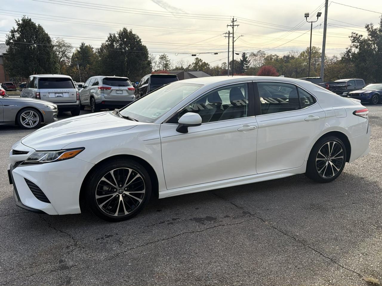 Toyota Camry XLE Auto (Natl) 2019