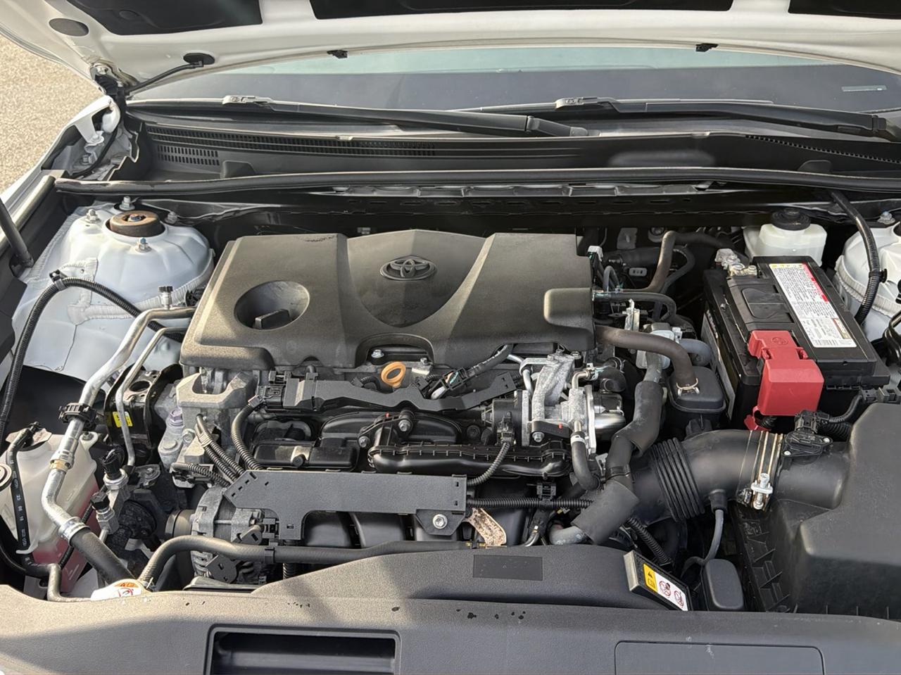 Toyota Camry XLE Auto (Natl) 2019