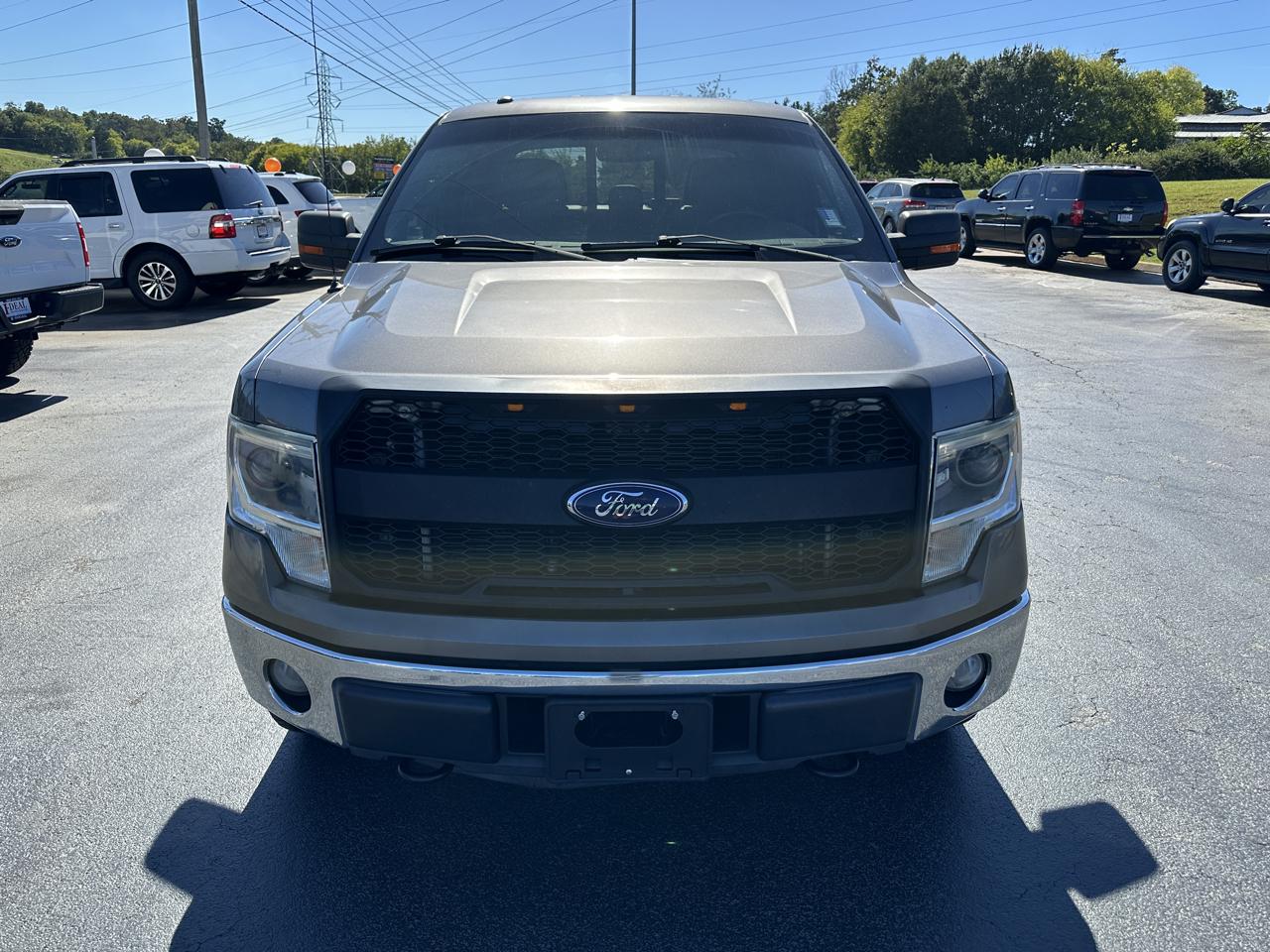 Ford F-150 4WD SuperCrew 145" XLT 2014