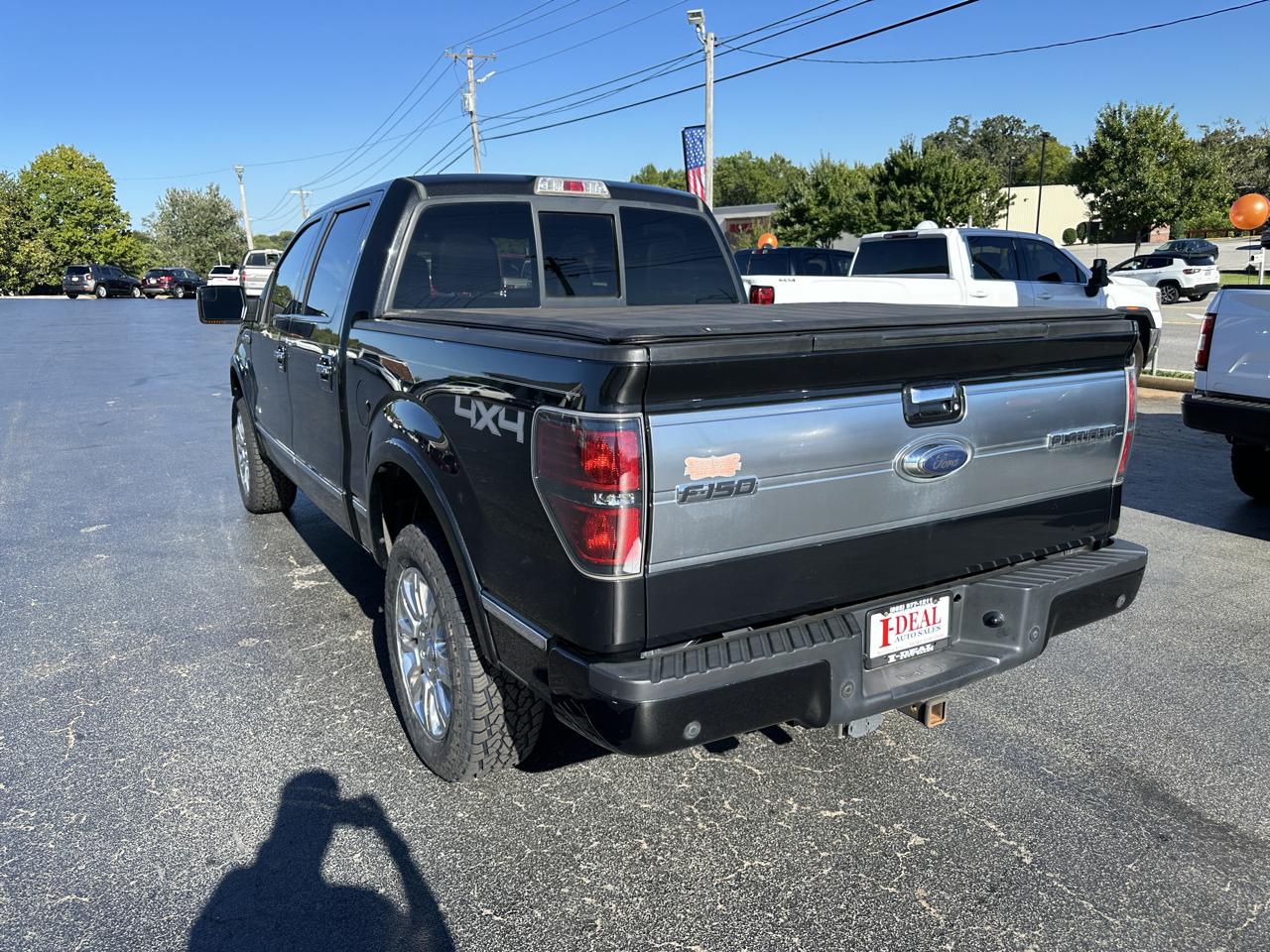 Ford F-150 4WD SuperCrew 145" Platinum 2013