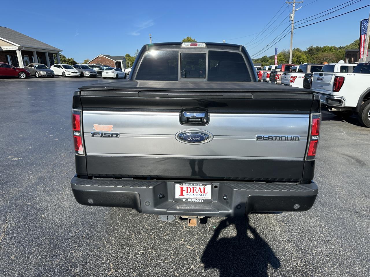 Ford F-150 4WD SuperCrew 145" Platinum 2013