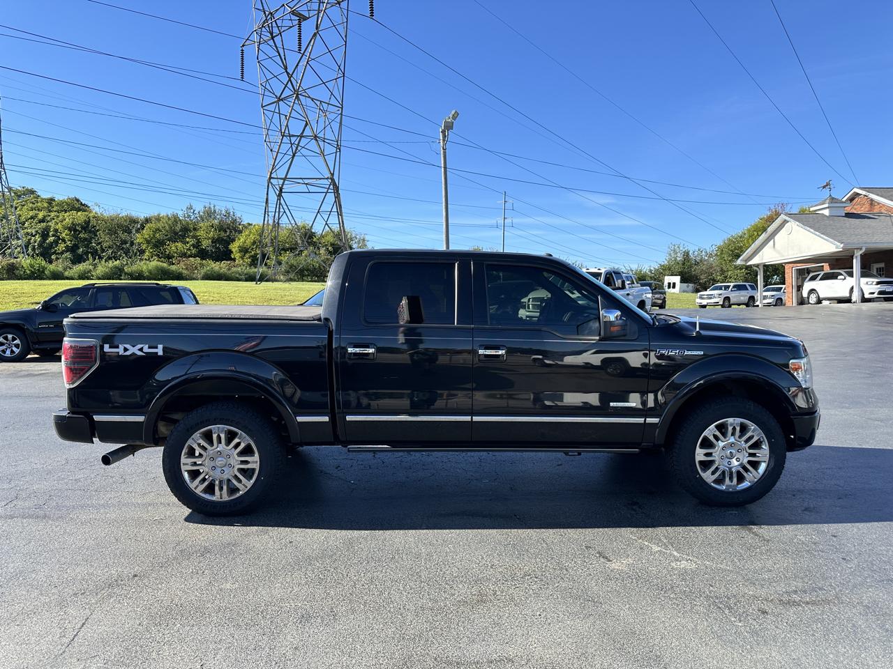 Ford F-150 4WD SuperCrew 145" Platinum 2013