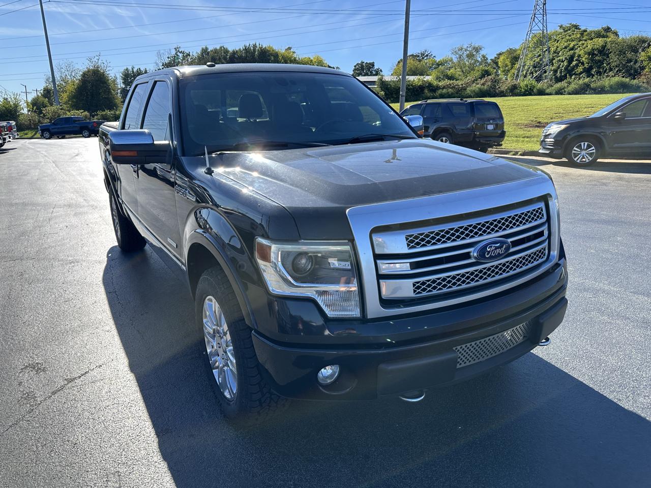 Ford F-150 4WD SuperCrew 145" Platinum 2013