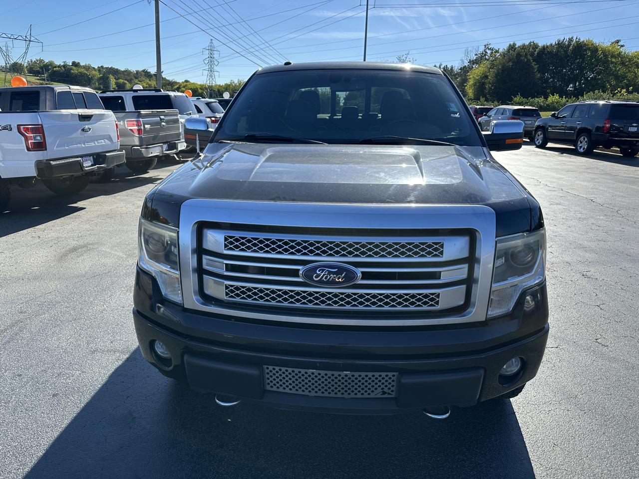 Ford F-150 4WD SuperCrew 145" Platinum 2013