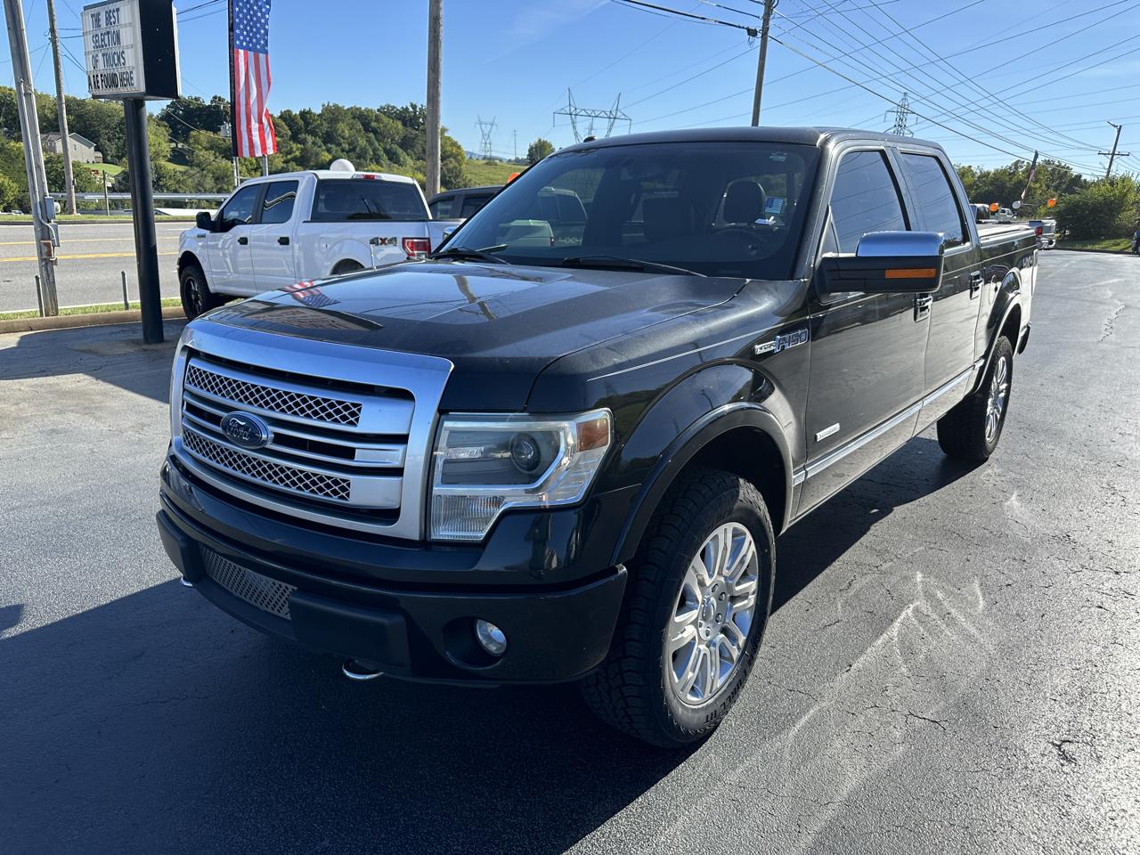 Ford F-150 4WD SuperCrew 145" Platinum 2013