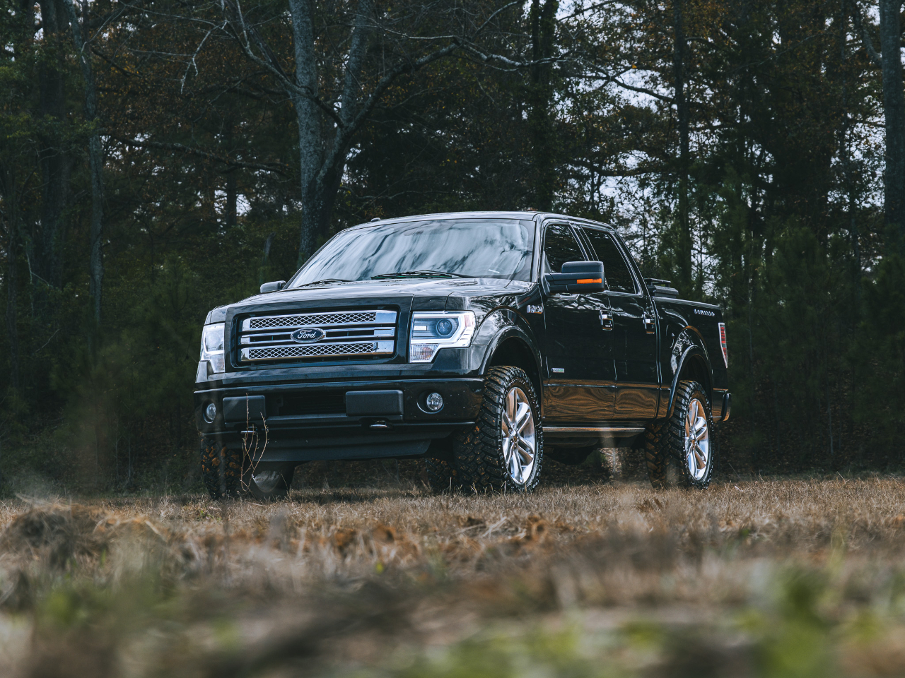 Ford F-150 XLT SuperCrew 6.5-ft. Bed 4WD 2013