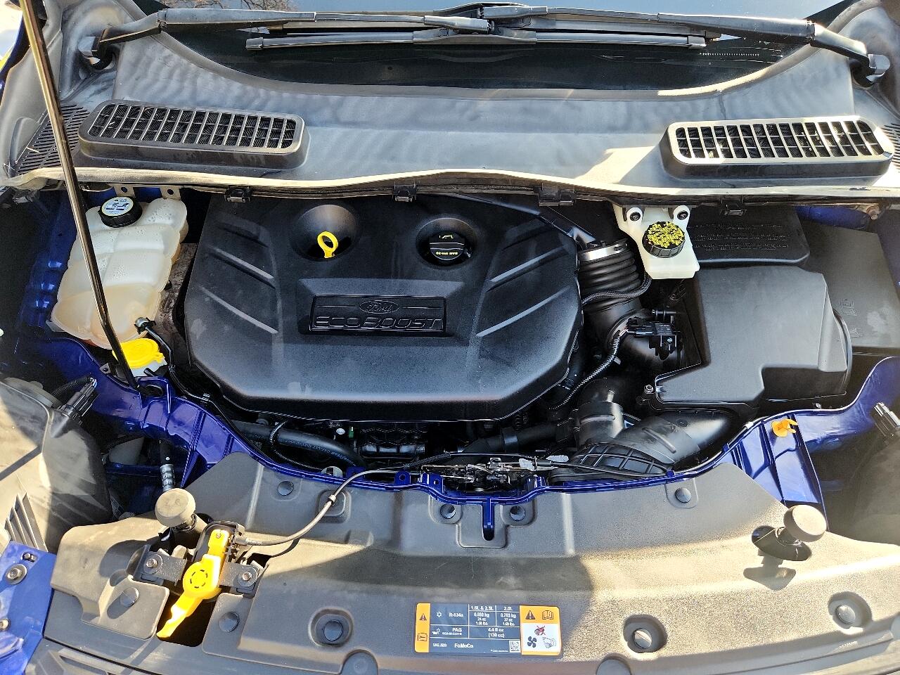 Ford Escape FWD 4dr SE 2013