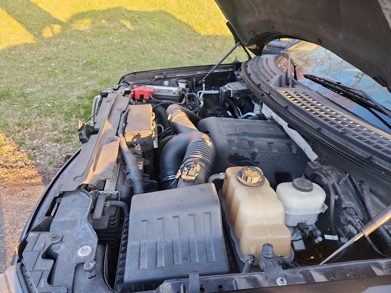 Ford F-150 4WD SuperCab 145" XL 2013