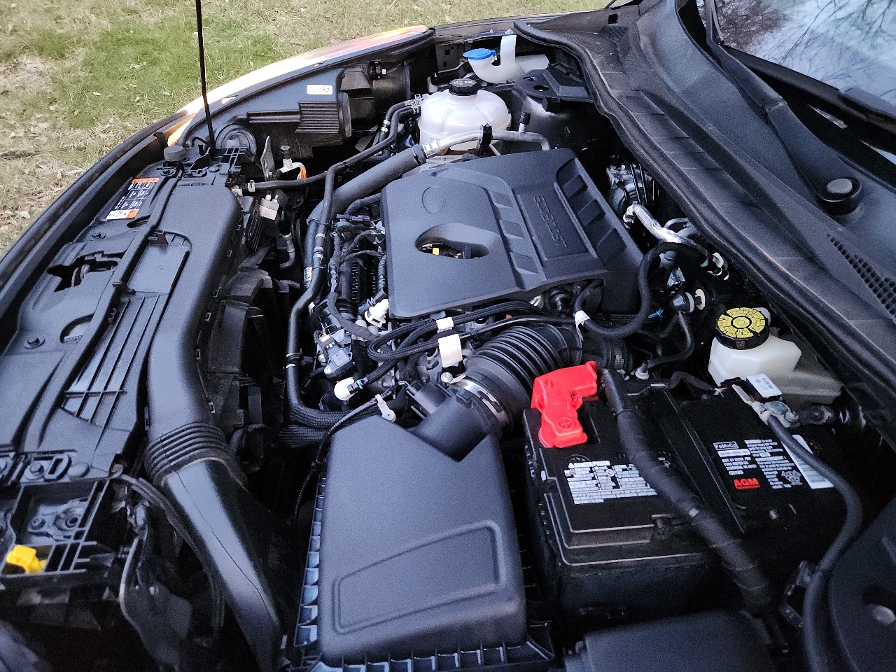 Ford Escape SE AWD 2020