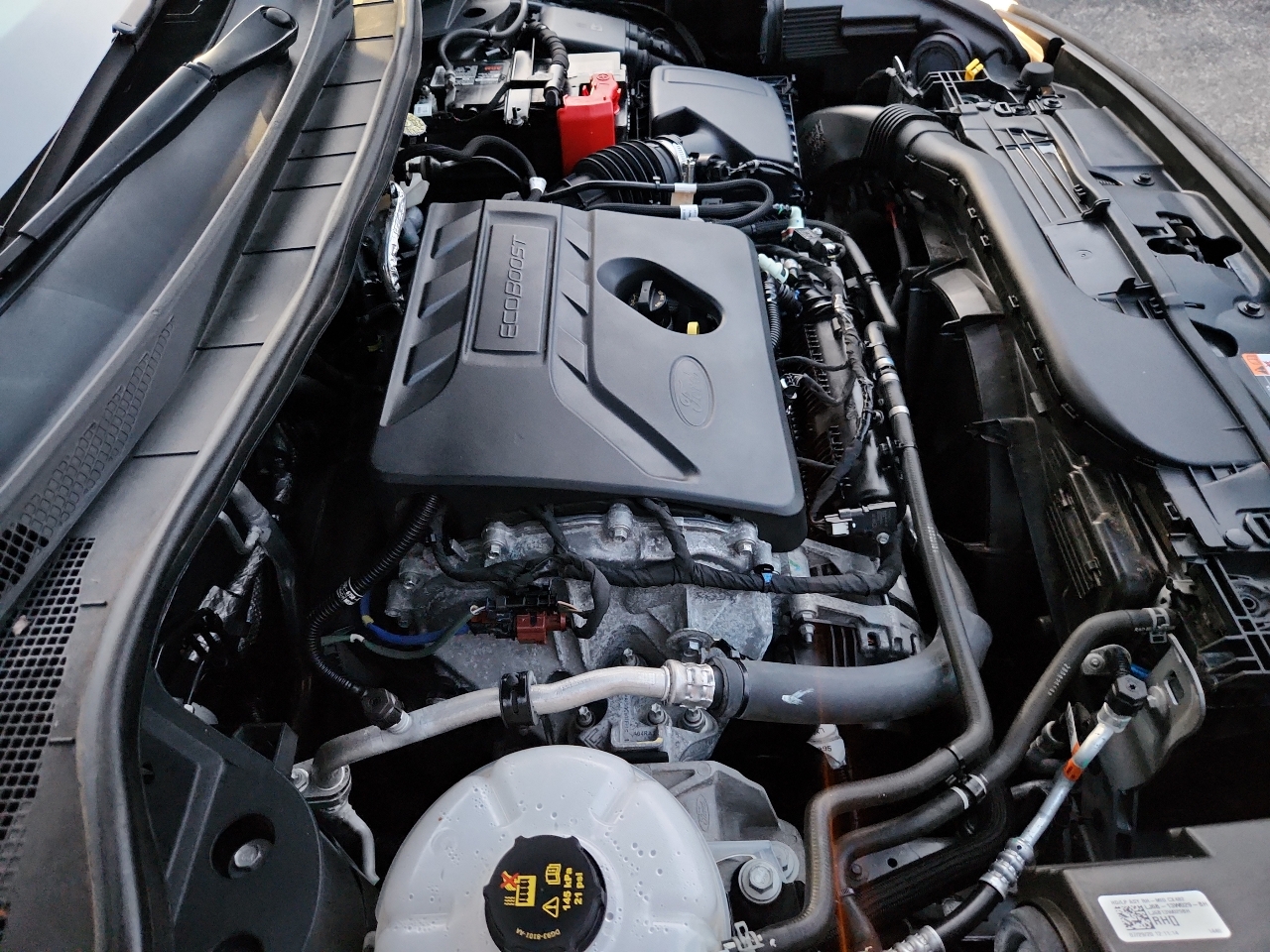 Ford Escape SE AWD 2020