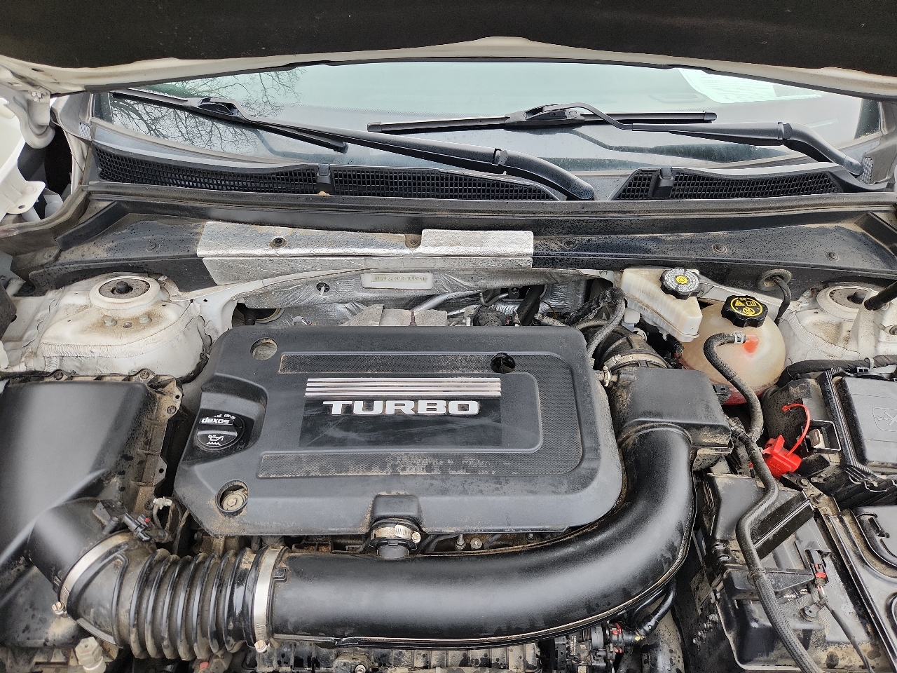 Cadillac XT4 FWD 4dr Premium Luxury 2019