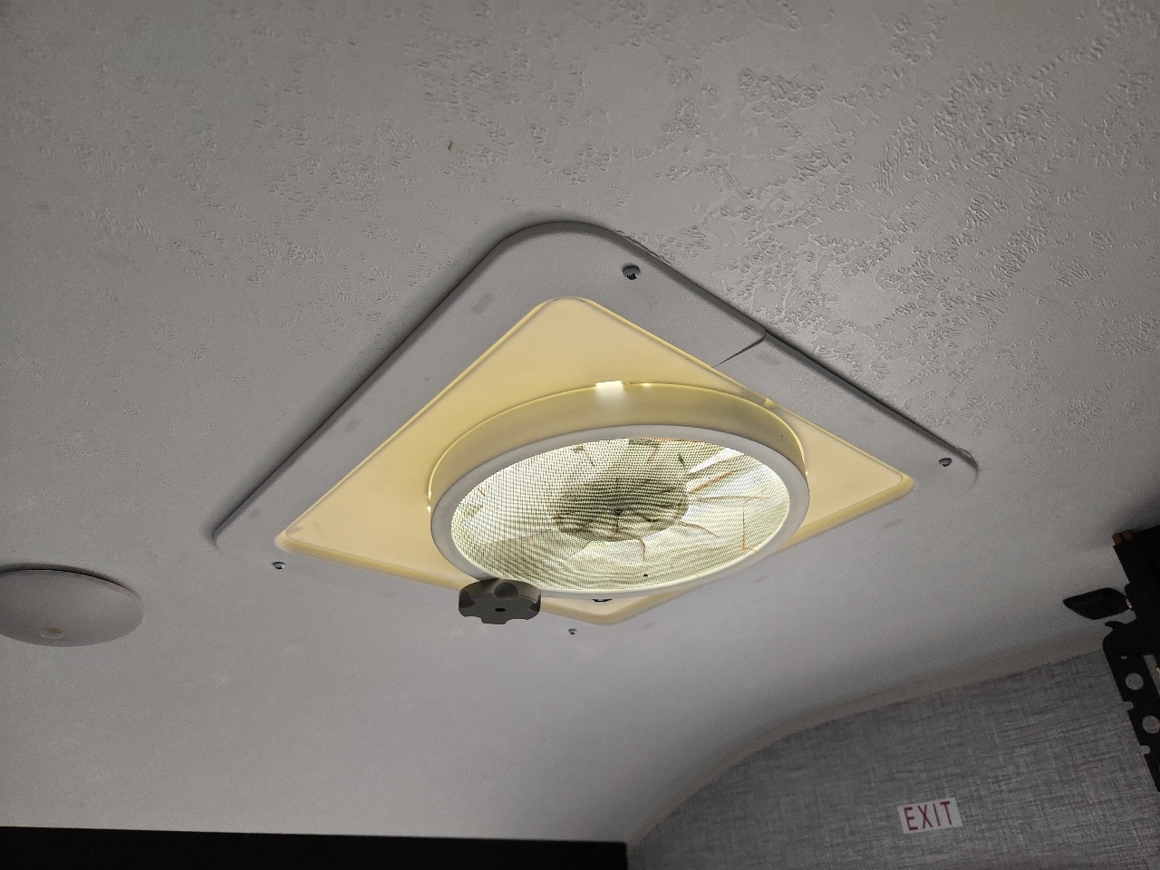 Braxton Creek Bushwhacker Plus  2020