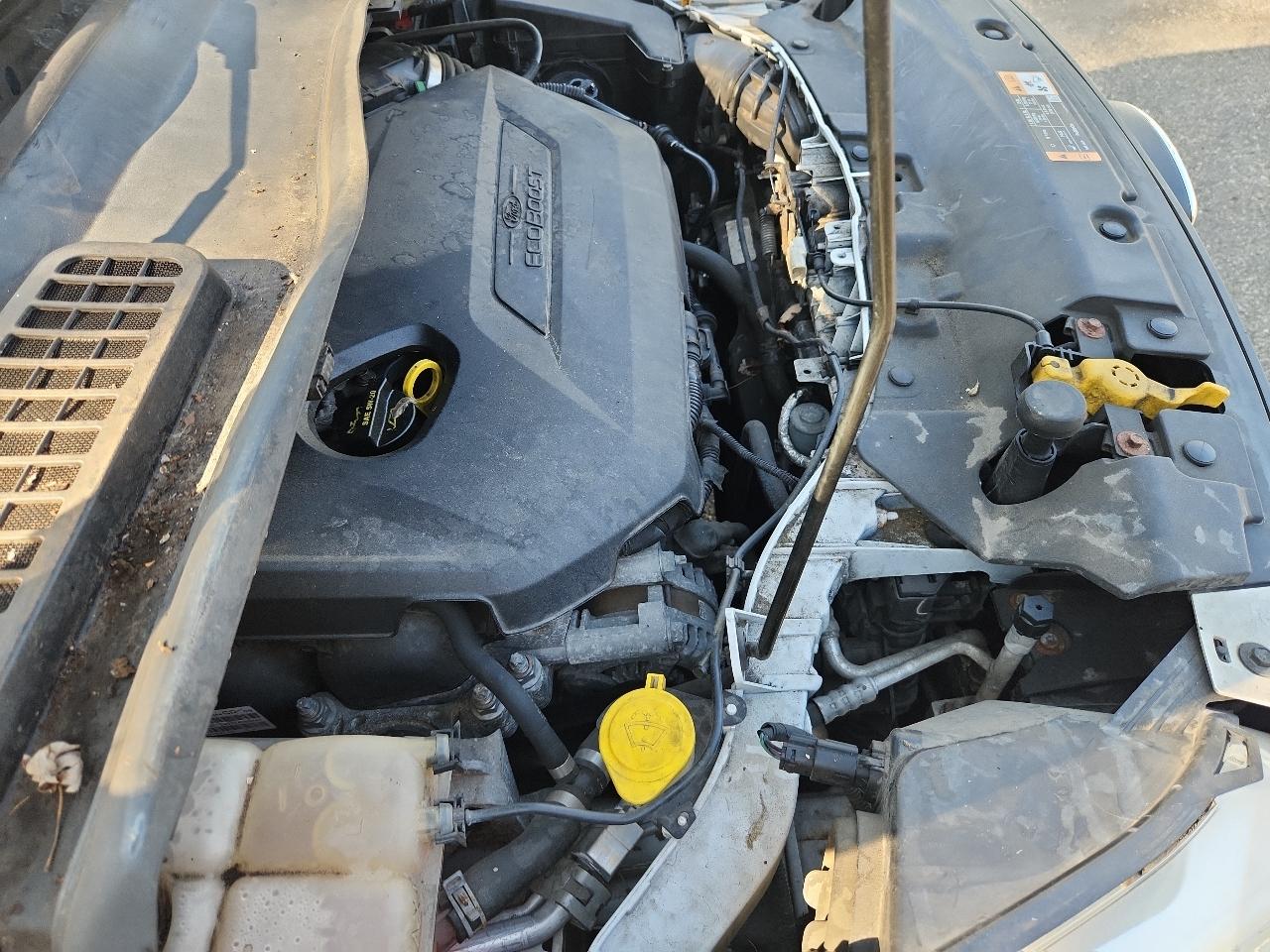 Ford Escape FWD 4dr SE 2014