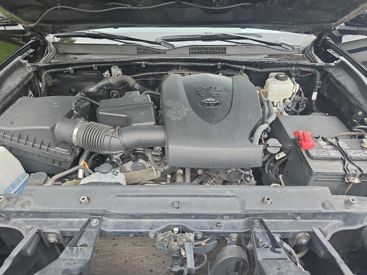 Toyota Tacoma 4WD SR Double Cab 5' Bed V6 AT (Natl) 2023
