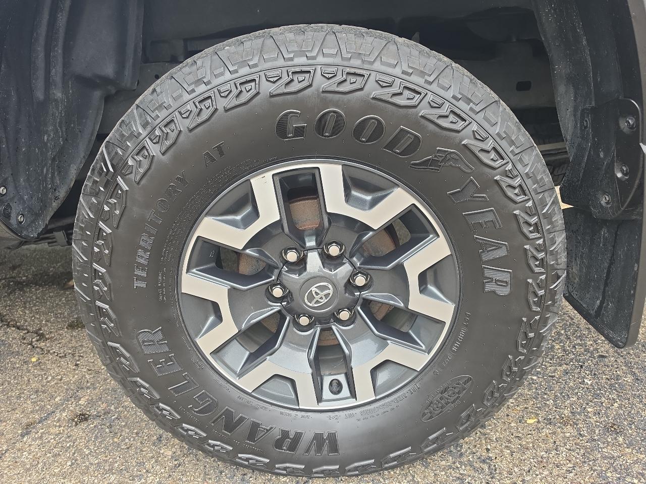 Toyota Tacoma 4WD SR Double Cab 5' Bed V6 AT (Natl) 2023