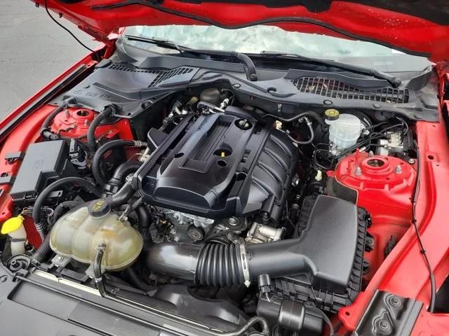Ford Mustang EcoBoost Fastback 2019