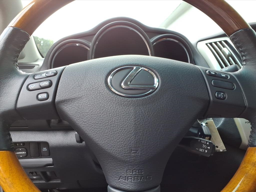 2009 Lexus RX 350 photo 25