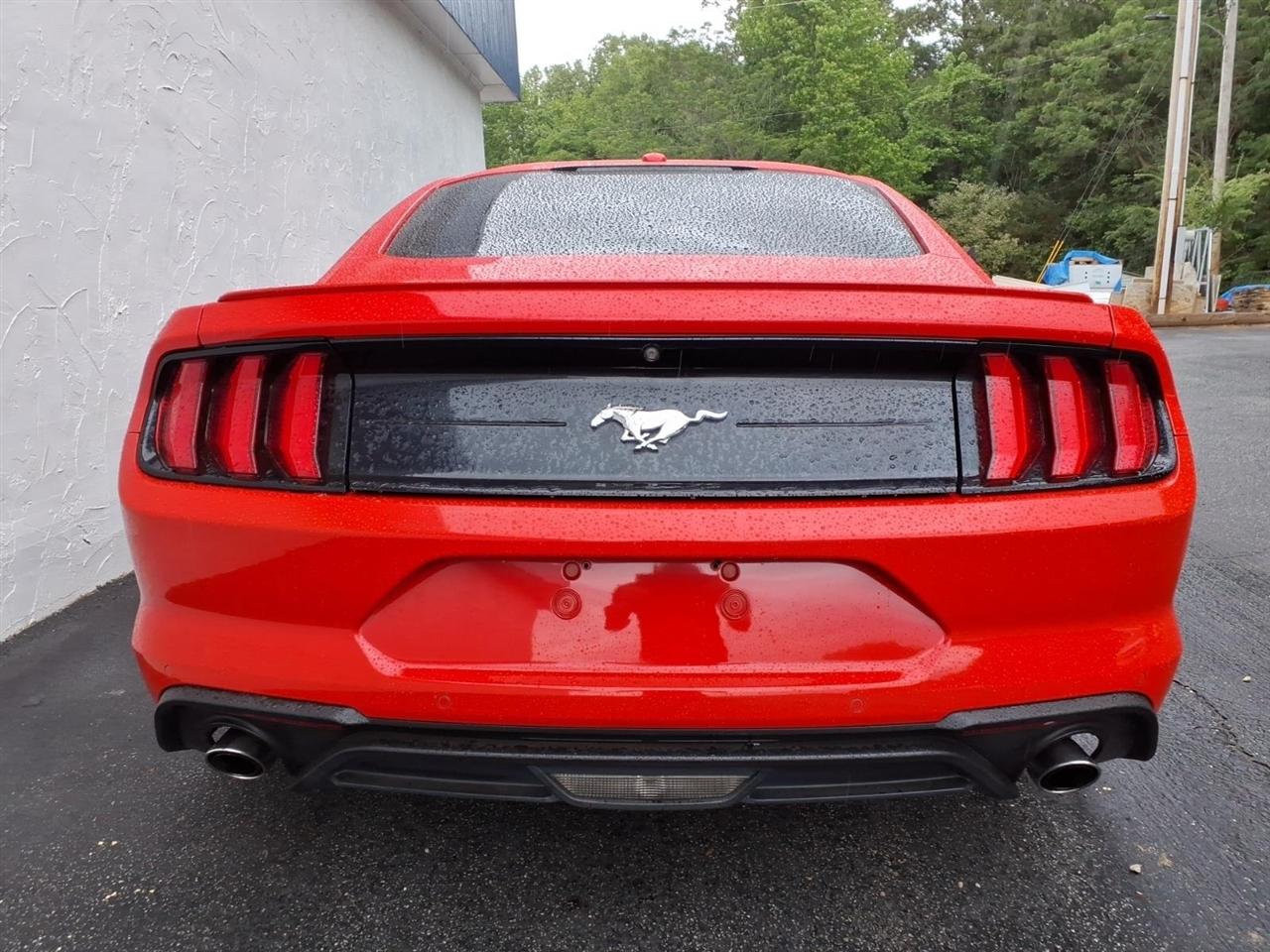 Ford Mustang EcoBoost Fastback 2019