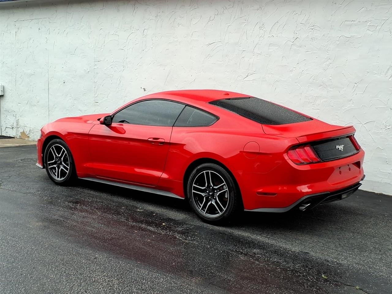 Ford Mustang EcoBoost Fastback 2019