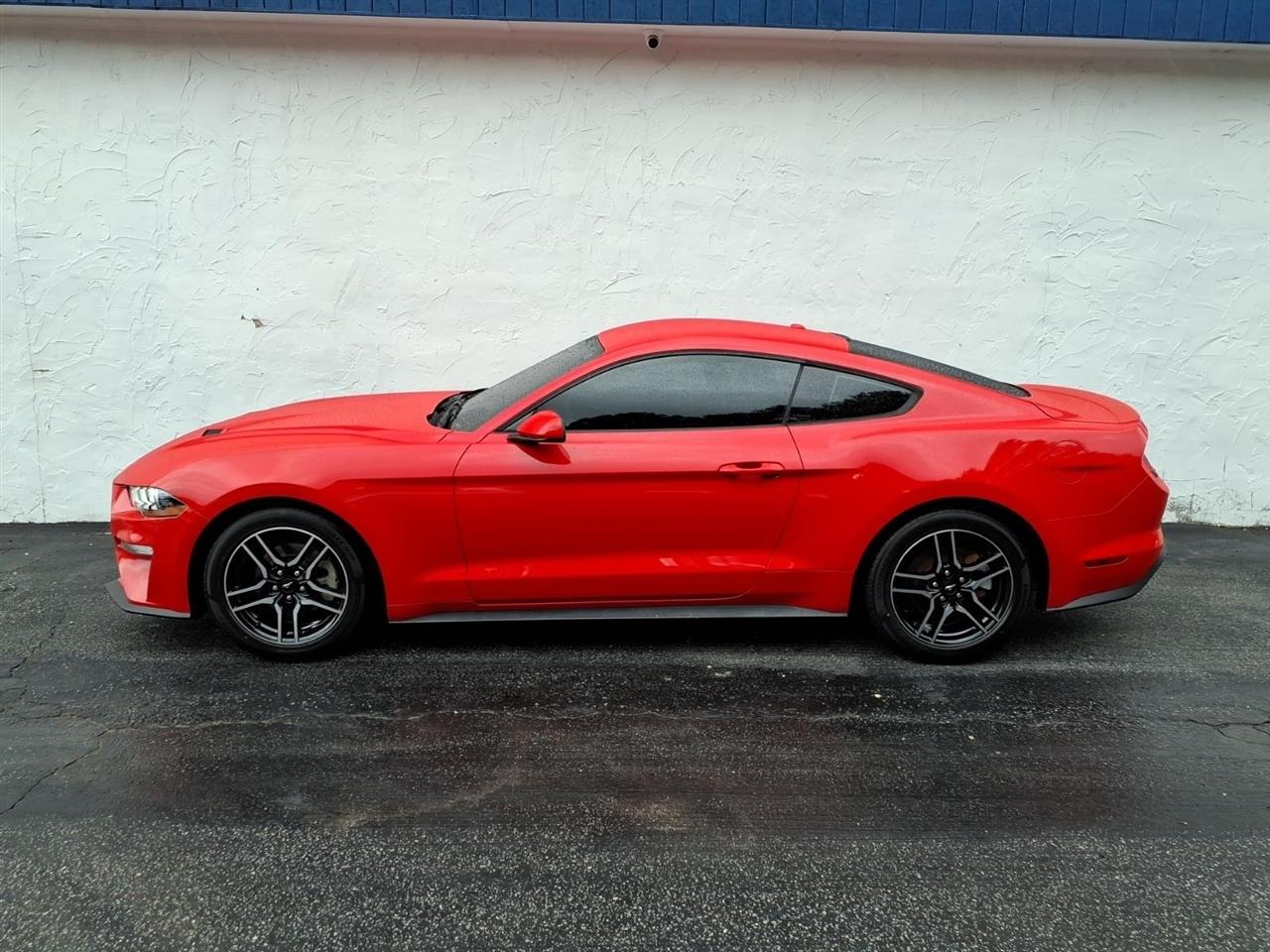 Ford Mustang EcoBoost Fastback 2019