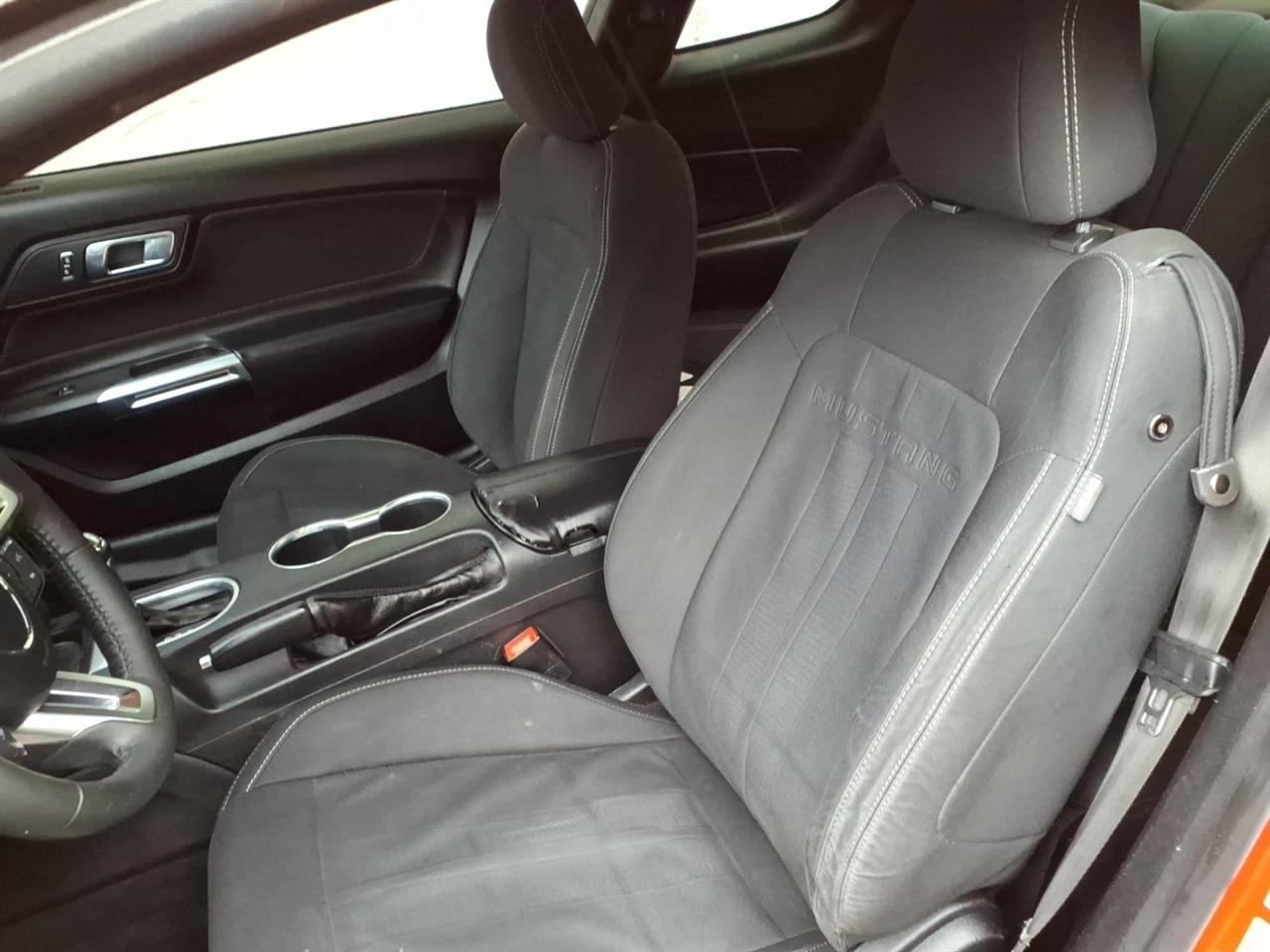Ford Mustang EcoBoost Fastback 2019