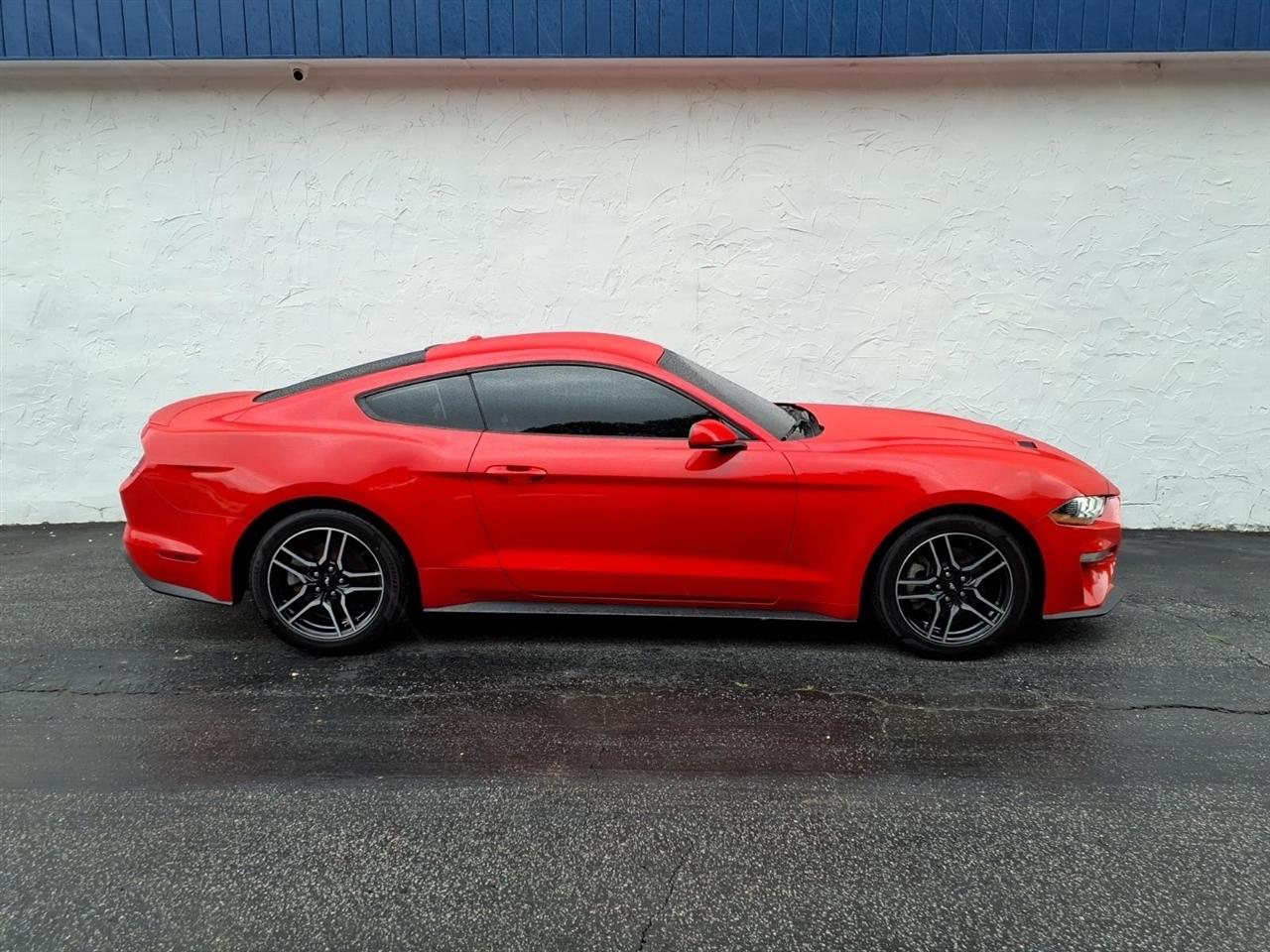 Ford Mustang EcoBoost Fastback 2019
