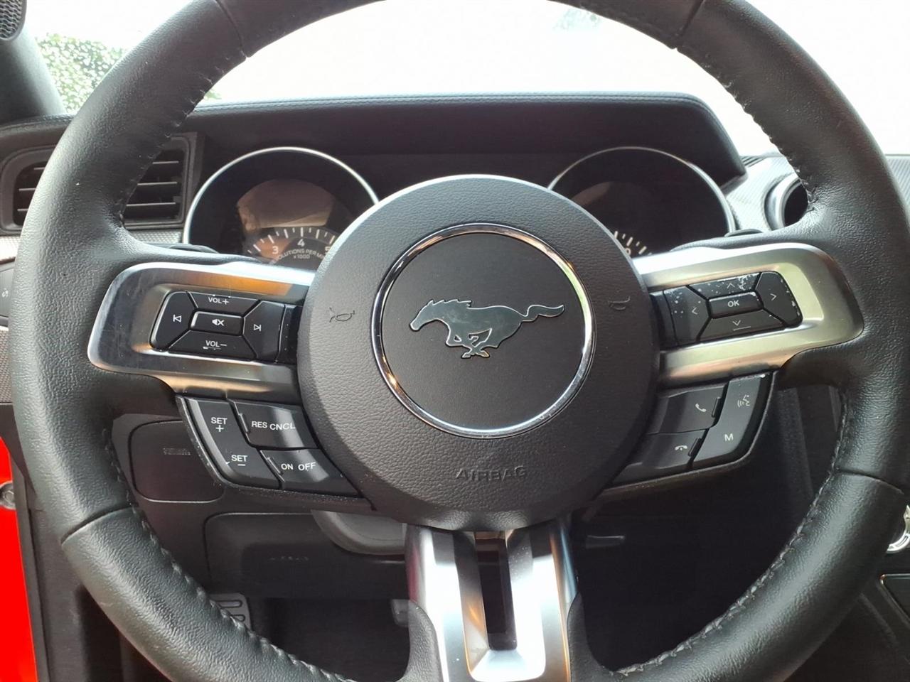 Ford Mustang EcoBoost Fastback 2019