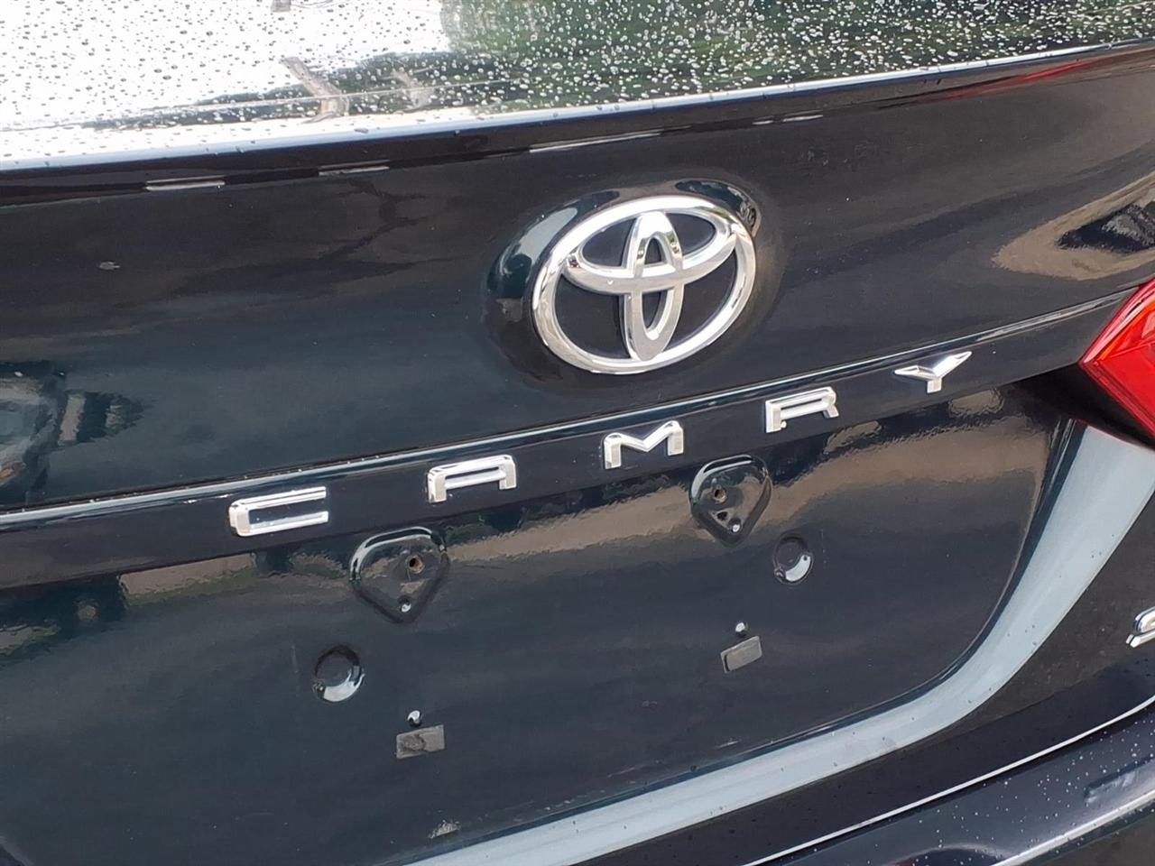 Toyota Camry XLE Auto (Natl) 2019