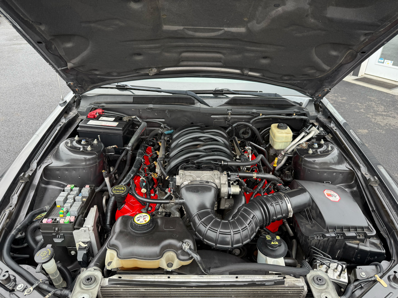 Ford Mustang GT Deluxe Coupe 2007