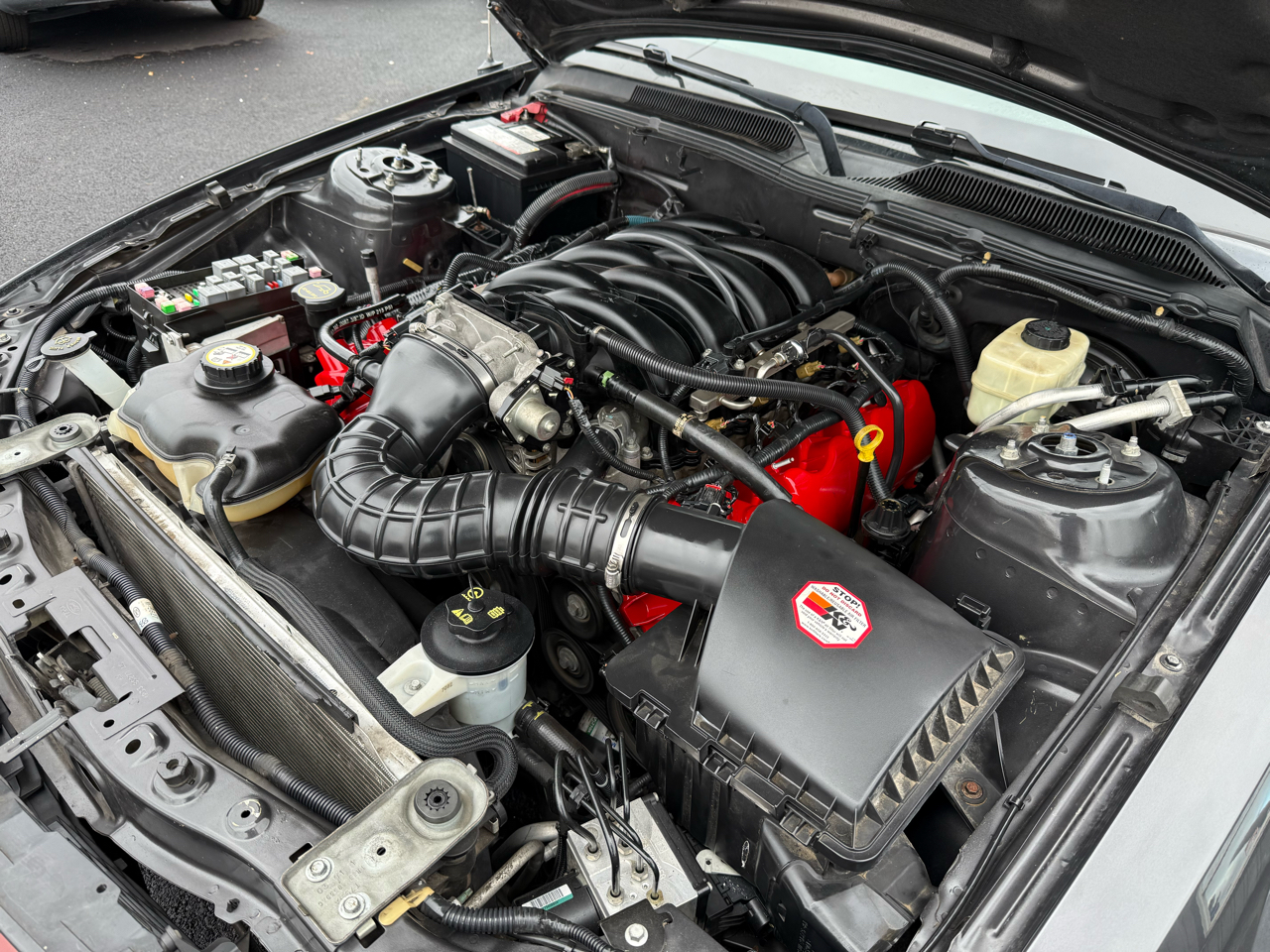 Ford Mustang GT Deluxe Coupe 2007