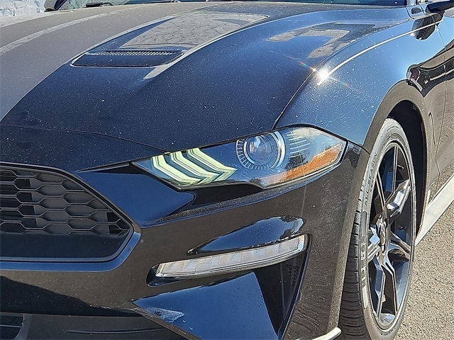 Ford Mustang  2019