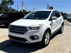2019 Ford Escape  2019 Ford Escape