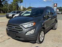 2021 Ford EcoSport  2021 Ford EcoSport