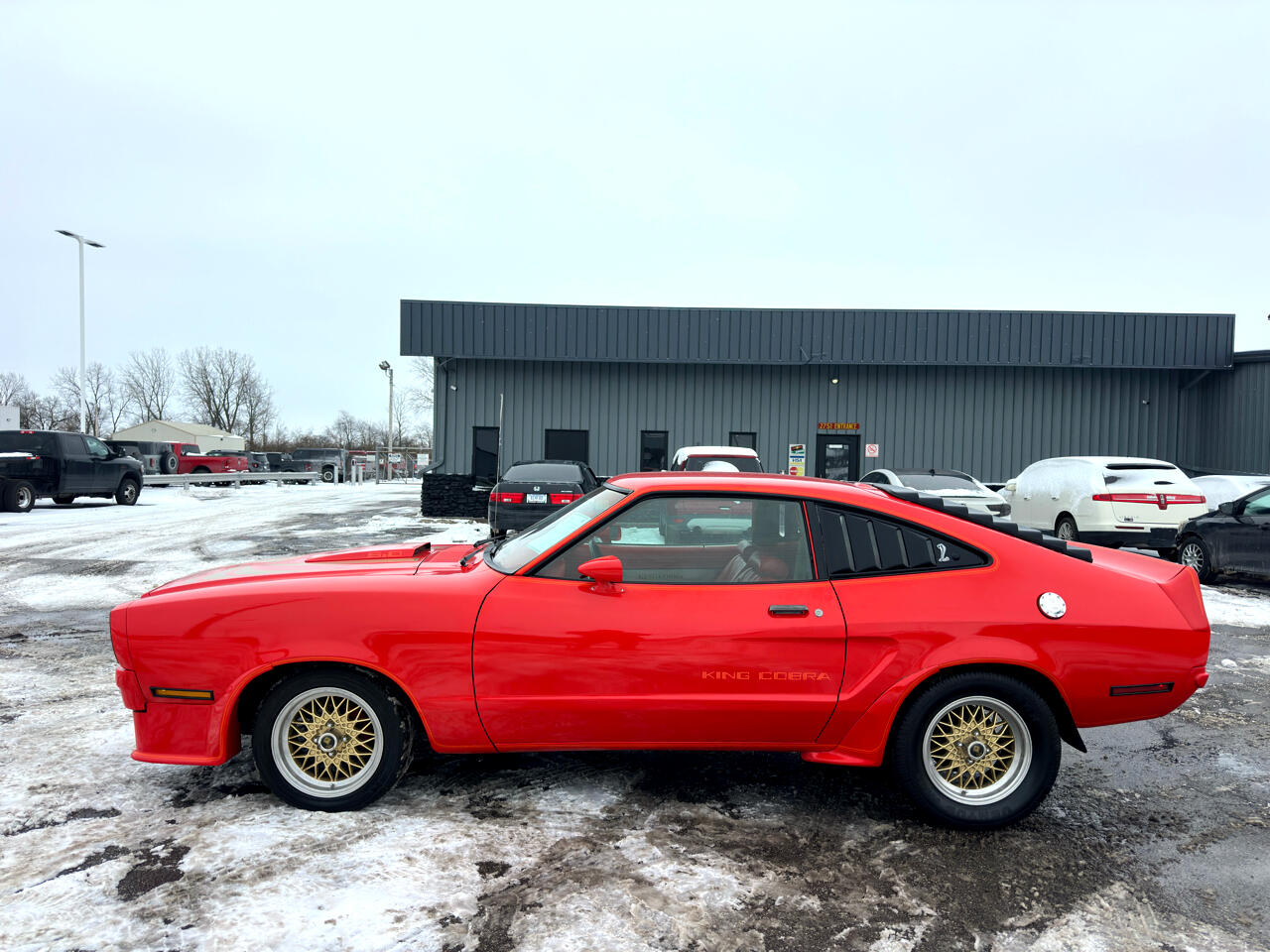 Ford MUSTANG COBRA  1978