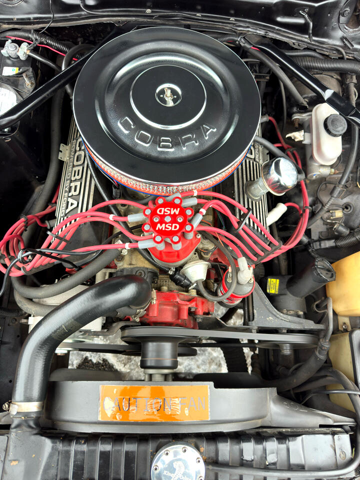 Ford MUSTANG COBRA  1978