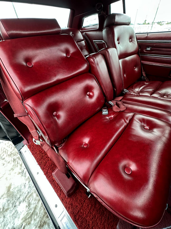 Ford Thunderbird 2dr Conv w/Hardtop Deluxe 1976