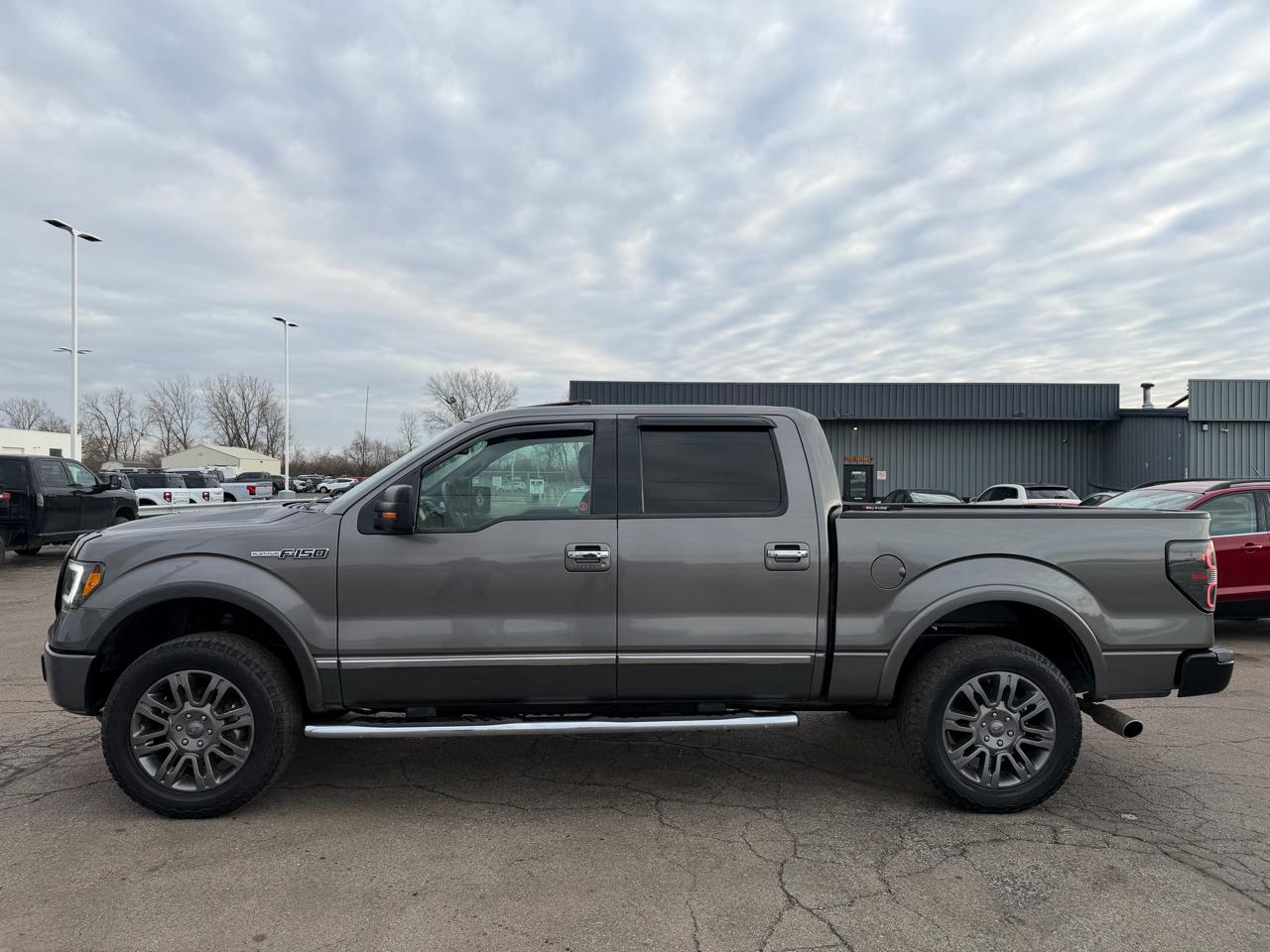 Ford F-150 4WD SuperCrew 145" Platinum 2010