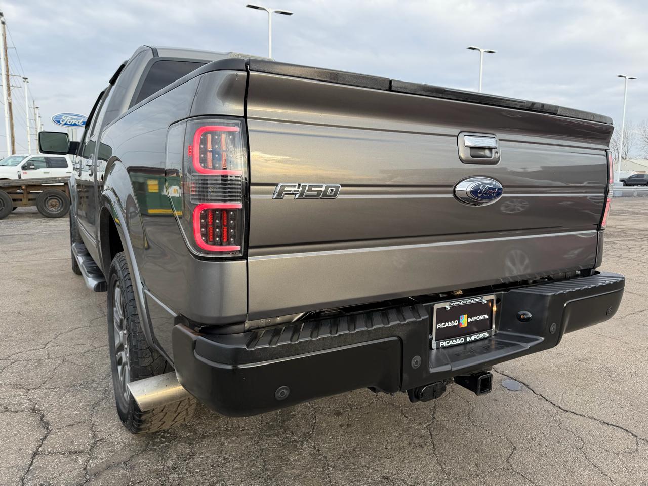 Ford F-150 4WD SuperCrew 145" Platinum 2010