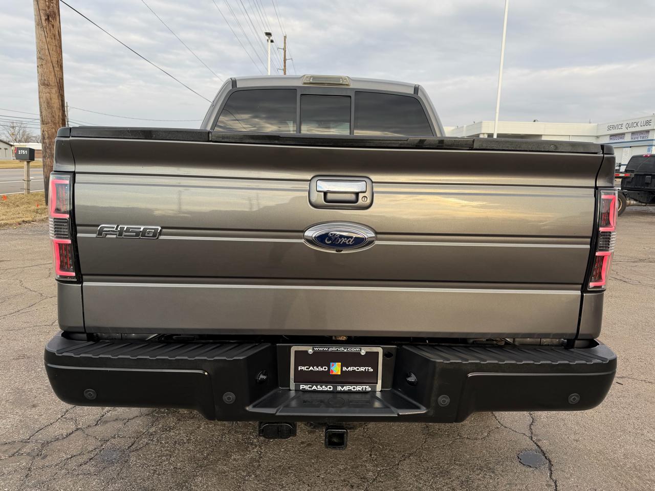 Ford F-150 4WD SuperCrew 145" Platinum 2010