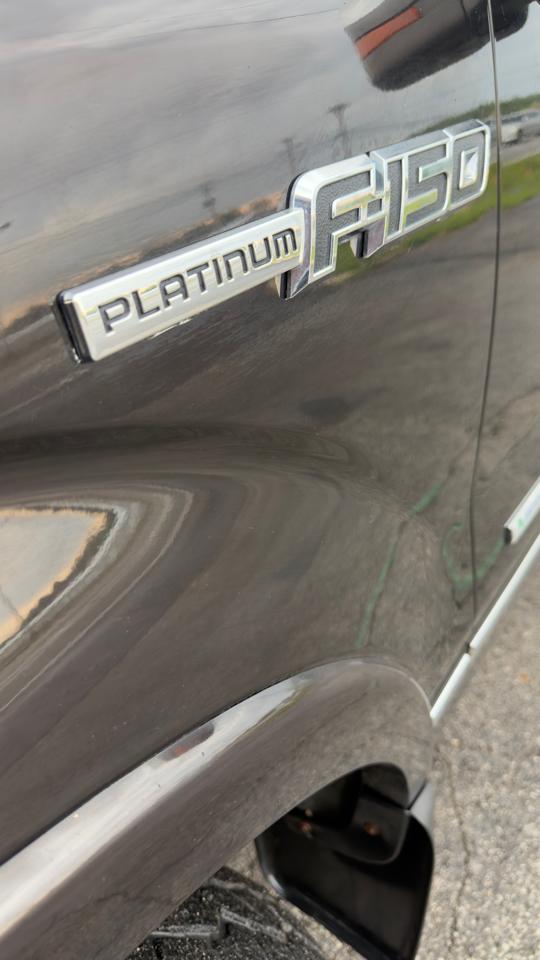 Ford F-150 4WD SuperCrew 145" Platinum 2013