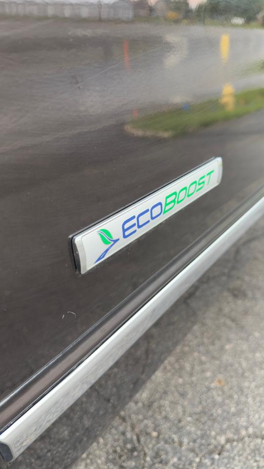 Ford F-150 4WD SuperCrew 145" Platinum 2013