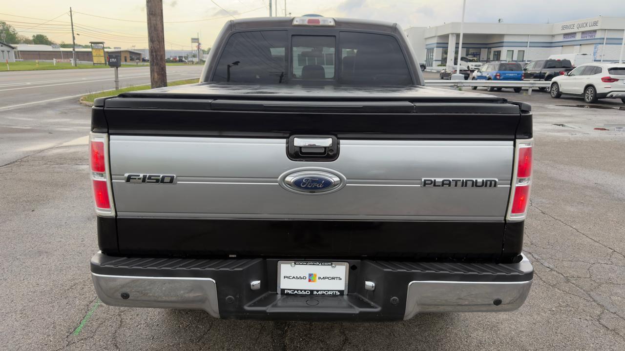 Ford F-150 4WD SuperCrew 145" Platinum 2013