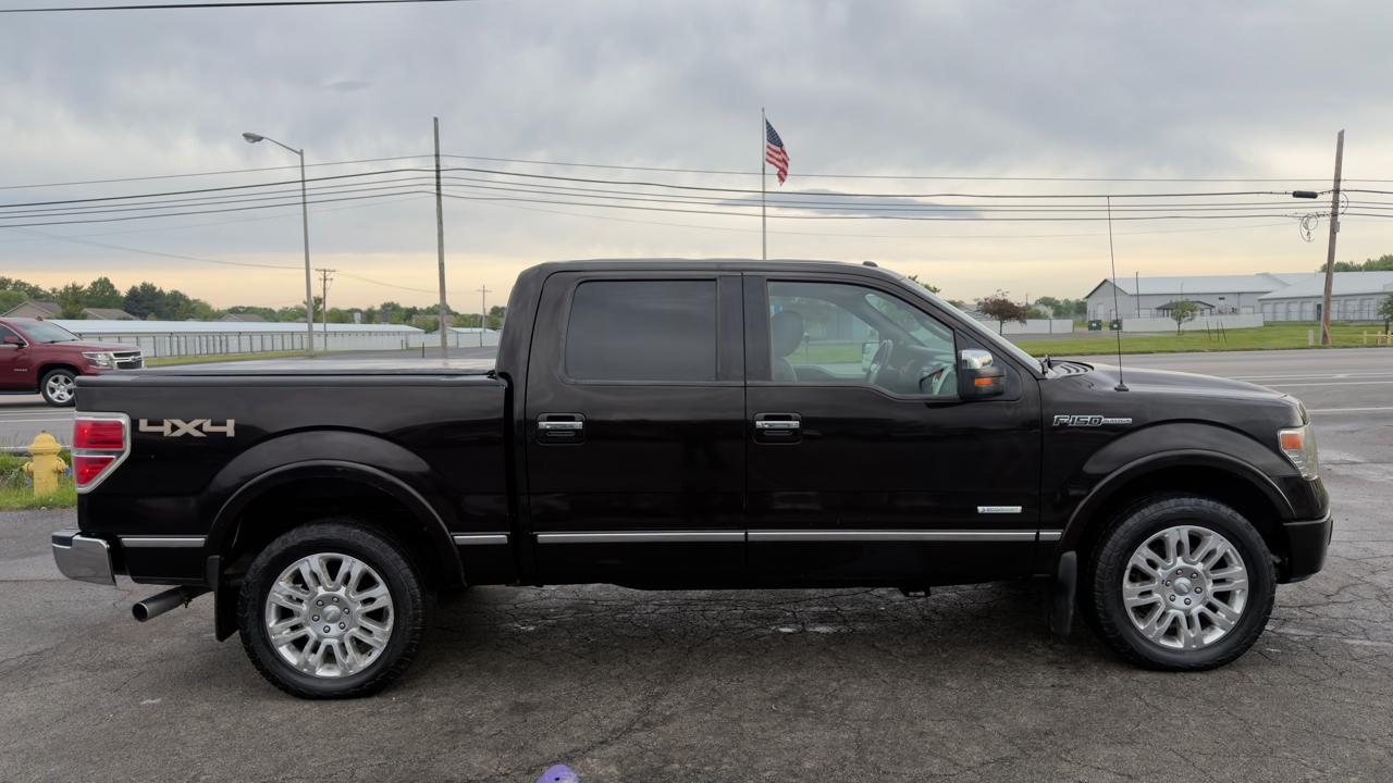 Ford F-150 4WD SuperCrew 145" Platinum 2013