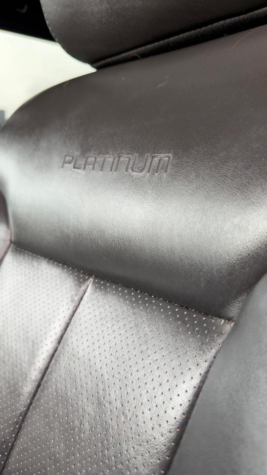Ford F-150 4WD SuperCrew 145" Platinum 2013