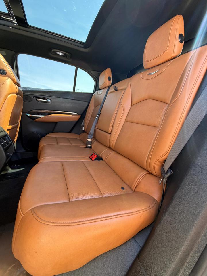 Cadillac XT4 FWD 4dr Premium Luxury 2019