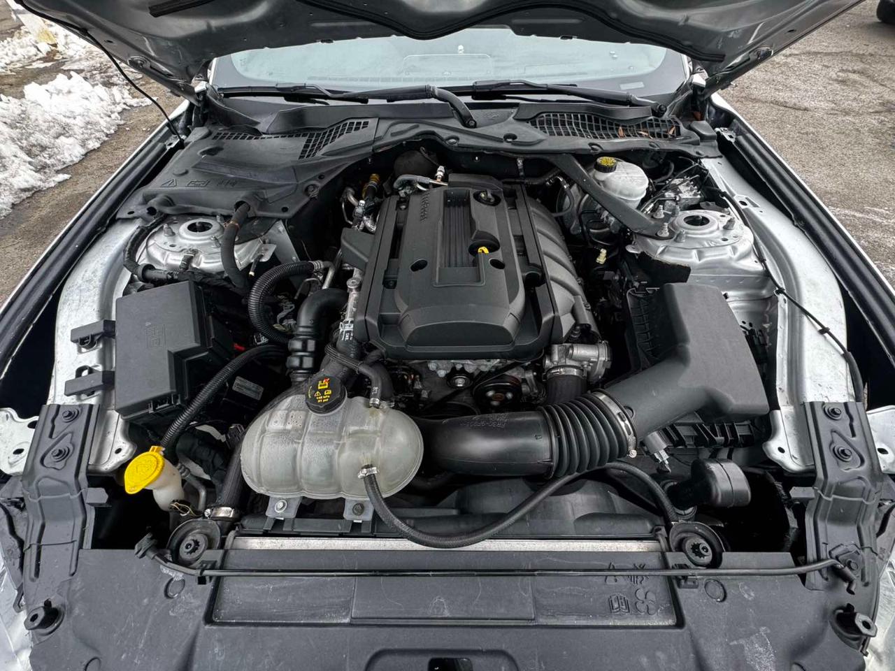 Ford Mustang EcoBoost Convertible 2018